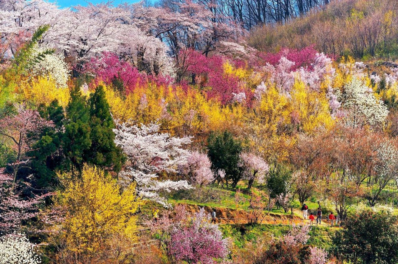 Apa Hotel Fukushima Ekimae Dış mekan fotoğraf